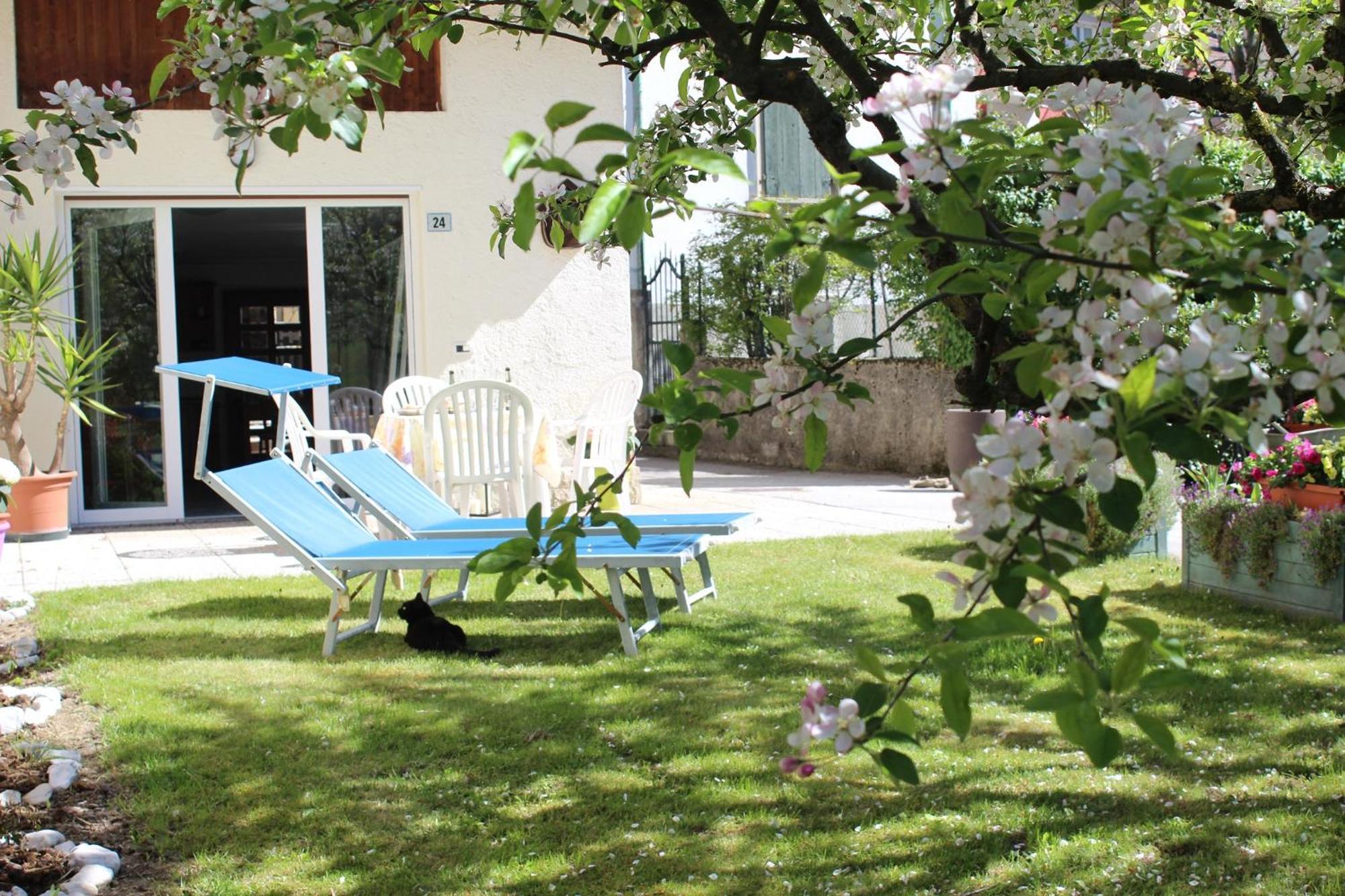 Residence Zecchini Tiarno di Sotto Camera foto